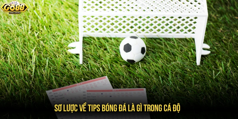 Sơ lược về tips bóng đá là gì trong cá độ